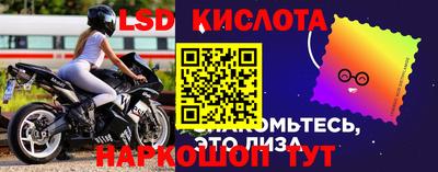 ПСИЛОЦИБИНОВЫЕ ГРИБЫ Вышний Волочёк