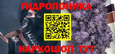 ПСИЛОЦИБИНОВЫЕ ГРИБЫ Вышний Волочёк