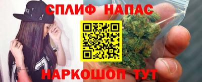 ПСИЛОЦИБИНОВЫЕ ГРИБЫ Вышний Волочёк
