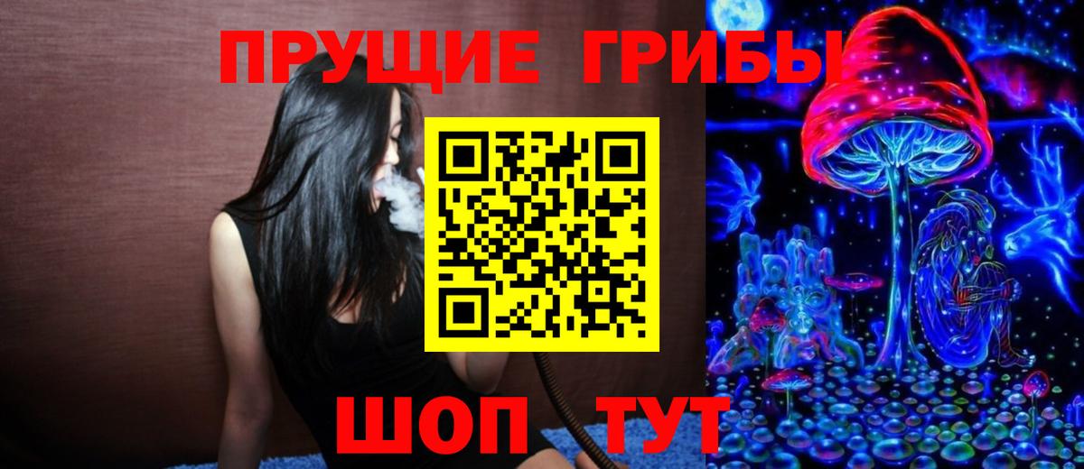 Галлюциногенные грибы MAGIC MUSHROOMS  Вход с VPN  сколько стоит  Ярославль 